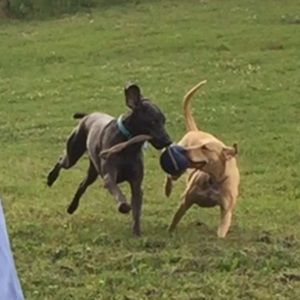 Meet your Posher, Laura